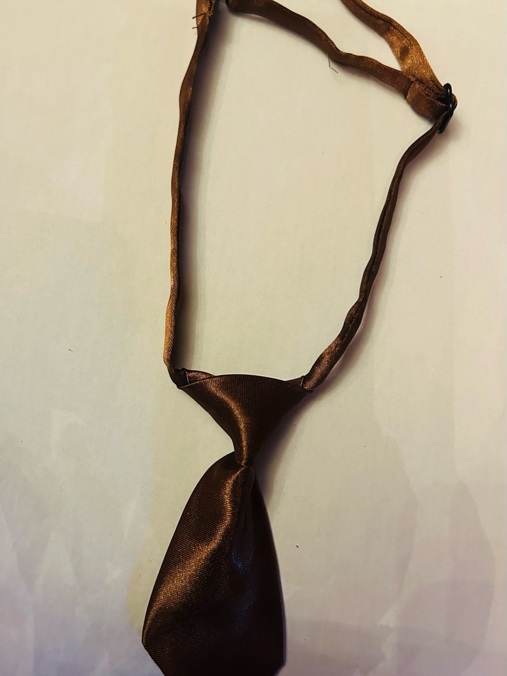 Brown Dog Tie